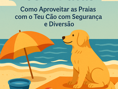 🌞 Verão com Patas: Como Aproveitar as Praias com o Teu Cão em Segurança e Diversão