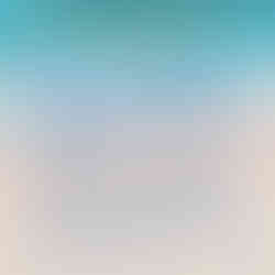 Praias Concessionadas Pet Friendly