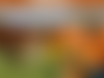 Creche canina em Santa Iria de Azóia: brincadeira com propósito.