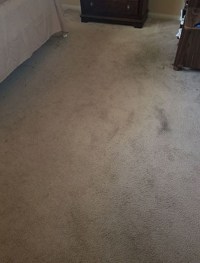 20191012_141101.jpg