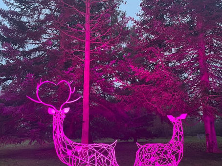 Goodbye To my Stag and Doe