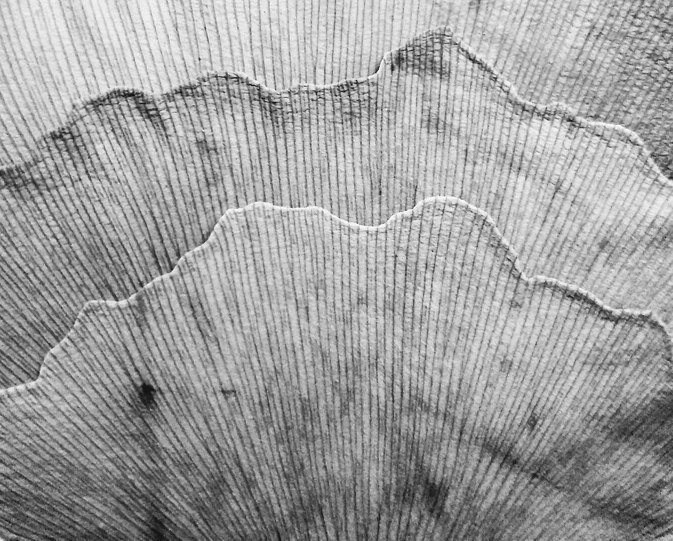 Superposición de abanicos