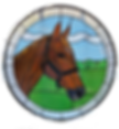 Majestic Horse head round stained glass panel 2