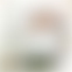 教育講論——用邏輯和學術發展中醫