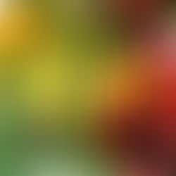 12 Reasons Fruits & Veggies Alone, FAIL !