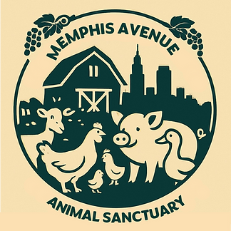 logo_1.png