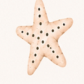 little stillness animals_edited_edited.png
