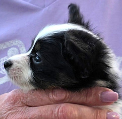 week 6 boy 2 profile.jpg