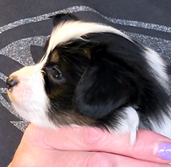 week 4 boy 2 profile.jpg