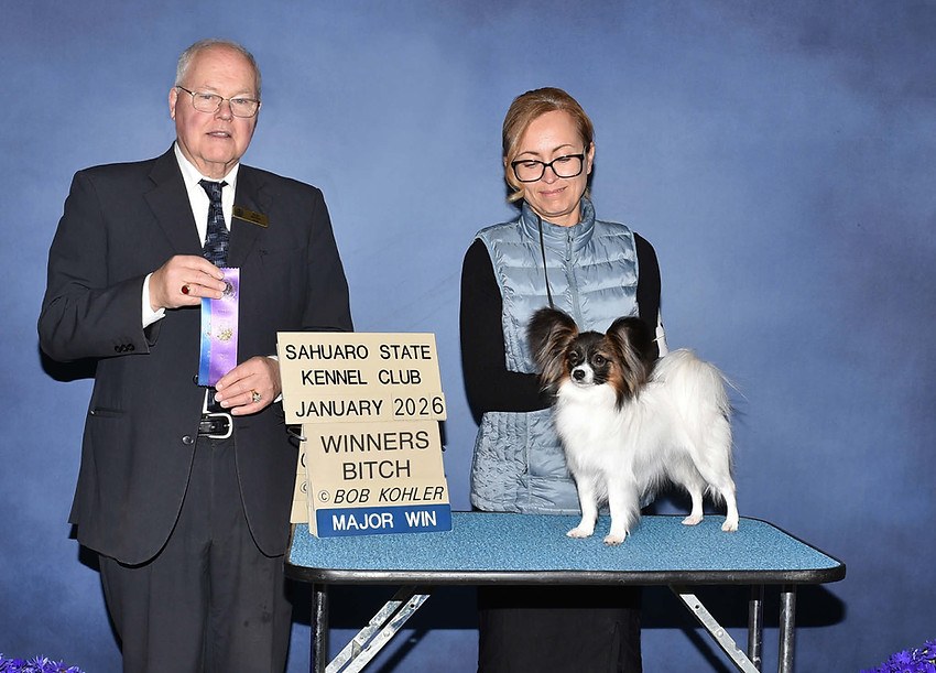 4th Major Sahuaro KC.jpg