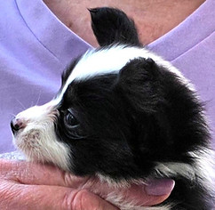 week 6 girl profile.jpg