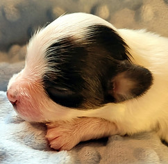 1 week boy 1 profile.jpeg