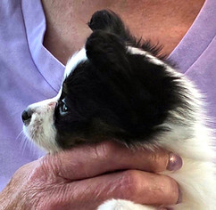 week 6 boy 1 profile.jpg