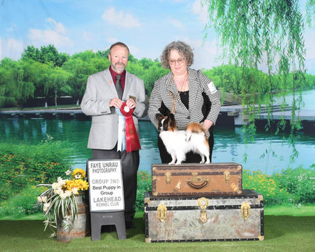 Cosmo's first show as a Champion
