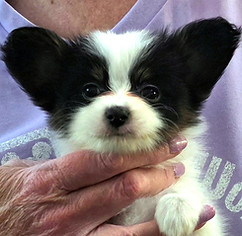 week 6 boy 1 head.jpg