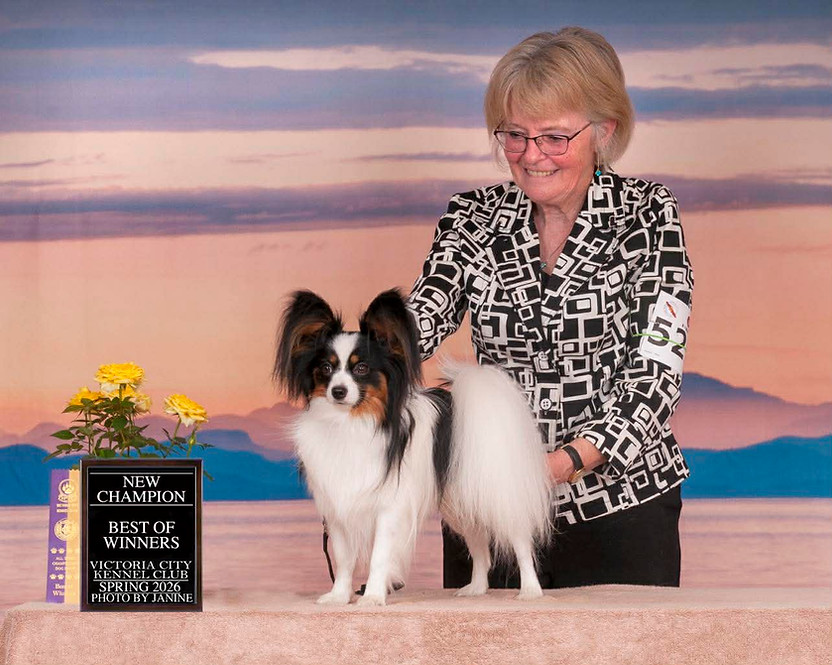 Canadian Champion.jpg