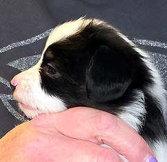 week 4 girl profile.jpg