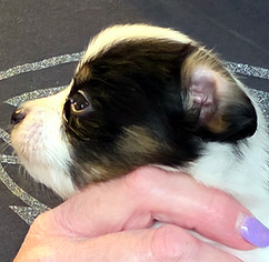 week 4 boy 1 profile.jpg