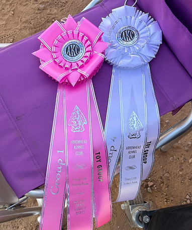 RBIS OH GRP1 GRP4.jpg