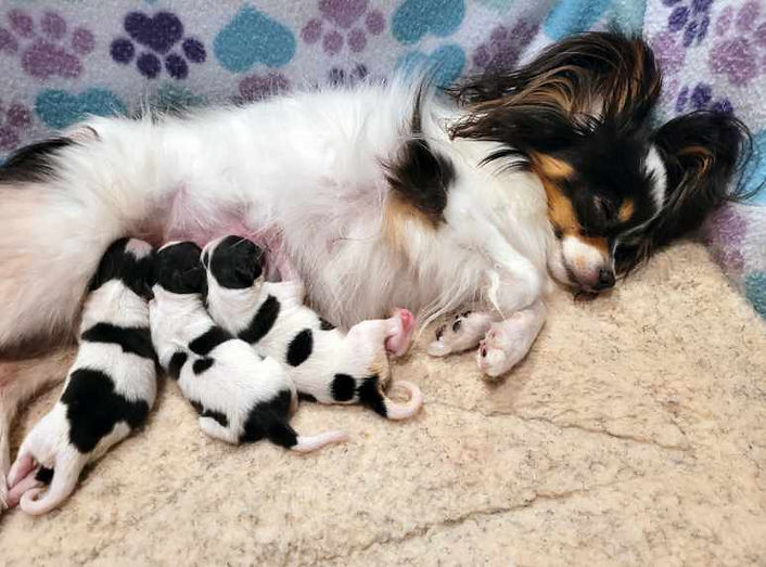 babies New Born 3.jpeg