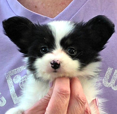 week 6 girl head.jpg