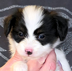 week 4 girl head.jpg