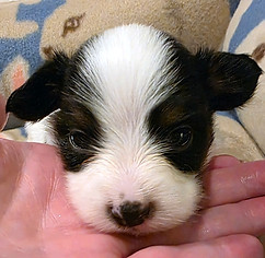 week 3 boy 1 head.jpg