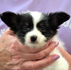 week 6 boy 2 head.jpg