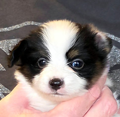 week 4 boy 1 head.jpg