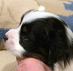 week 3 boy 2 profile.jpg