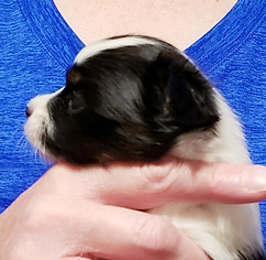 4 weeks tawney profile.jpeg