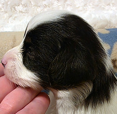 week 3 girl profile.jpg