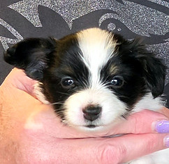 week 4 boy 2 head.jpg