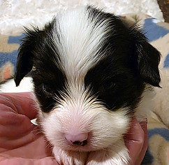 week 3 girl head.jpg