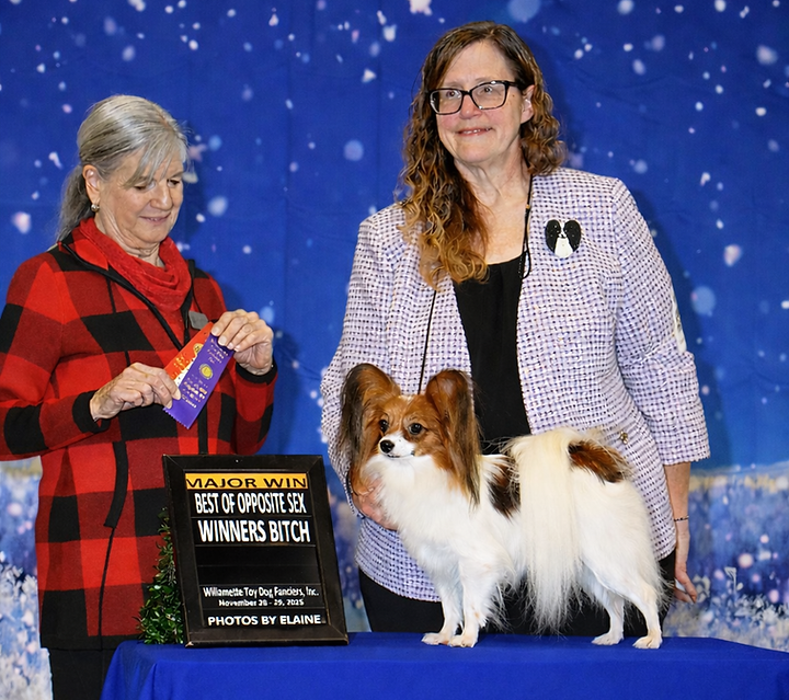 Bianca official Major.png