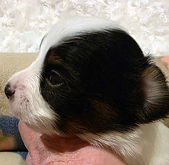 week 3 boy 1 profile.jpg