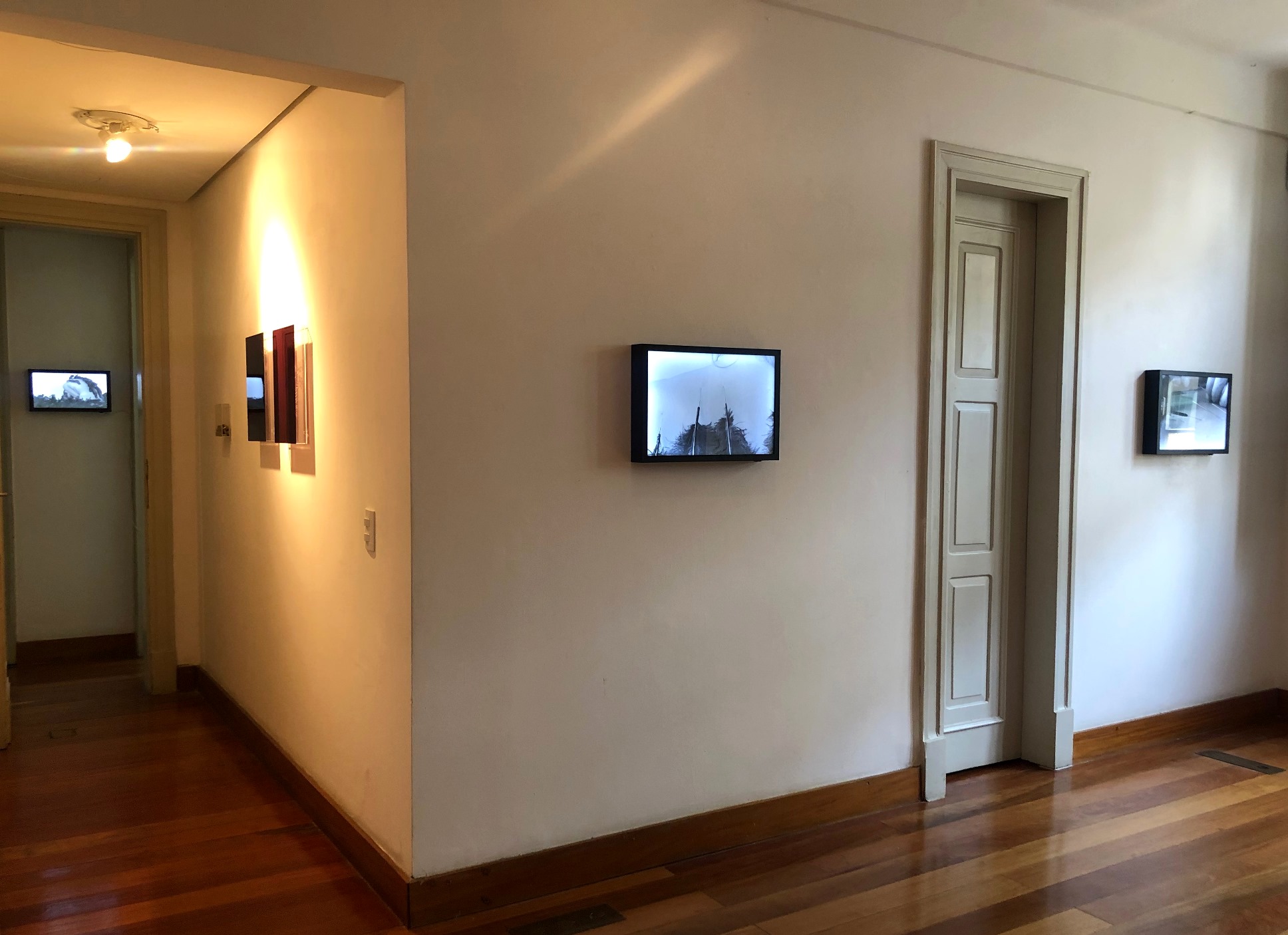 Exposição Corva