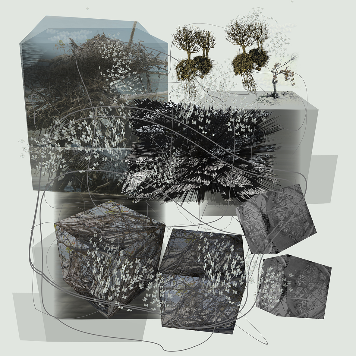 (des)horizontes I