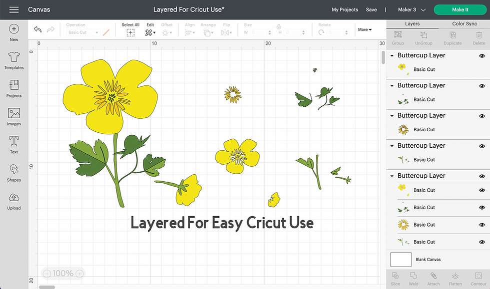 Thumbnail: Australian Flowers Layered Bundle | Cricuit & Silhouette | Wildflowers SVG | Aus