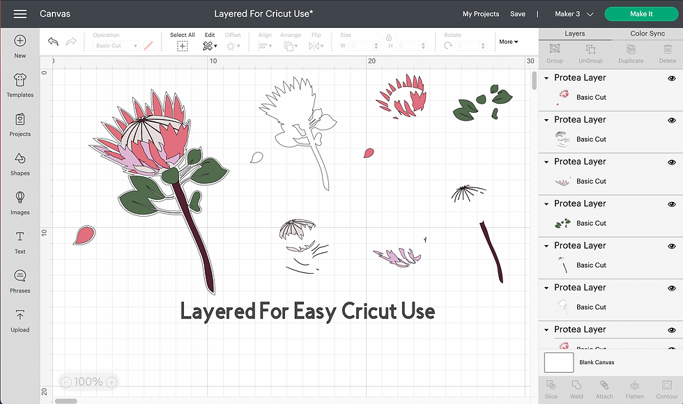 Thumbnail: Australian Flowers Layered Bundle | Cricuit & Silhouette | Wildflowers SVG | Aus