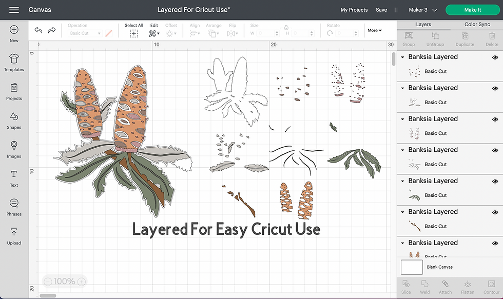 Thumbnail: Australian Flowers Layered Bundle | Cricuit & Silhouette | Wildflowers SVG | Aus