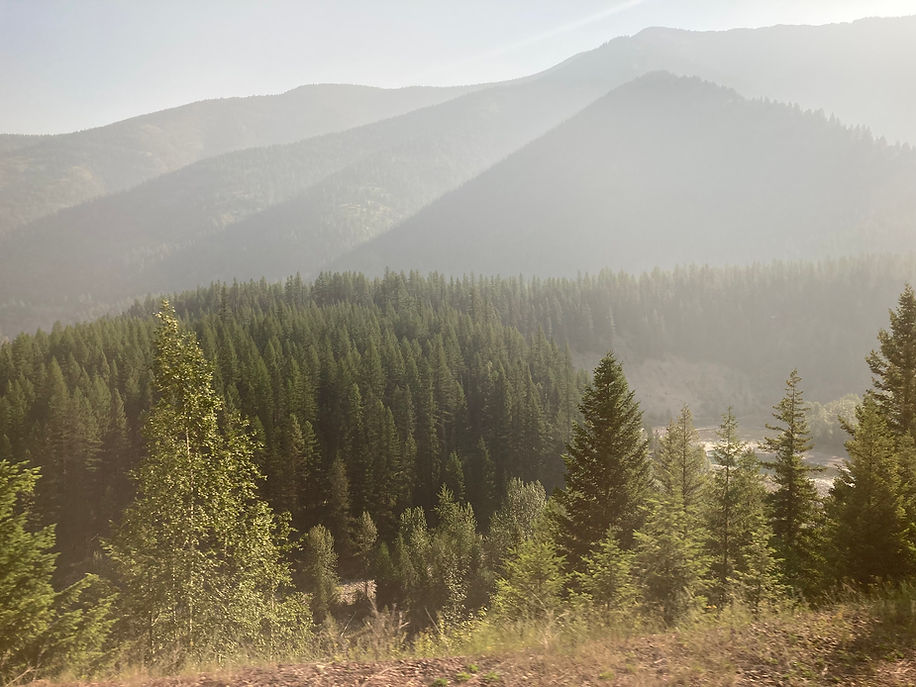 EcologyofYou-homepage-background.jpg
