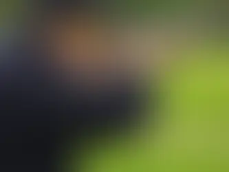 The Art of Clay Pigeon Shooting: Serenity in the Gesture