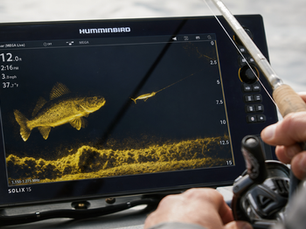 LiveScope et pêche moderne : révolution ou controverse?