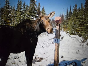 Ferme Monette Les Leaders dans les Salines au Québec