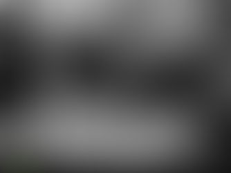 Nouveau buck d'arriver