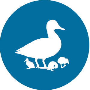Delta Waterfowl
