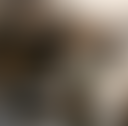 L’importance d’utiliser de bons decoys pour la chasse au canard