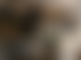 L’importance d’utiliser de bons decoys pour la chasse au canard