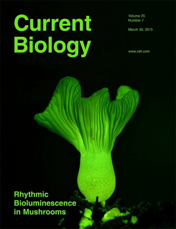 Current Biology